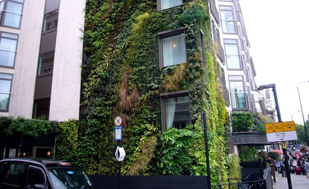 EarthTalk Green Walls explained