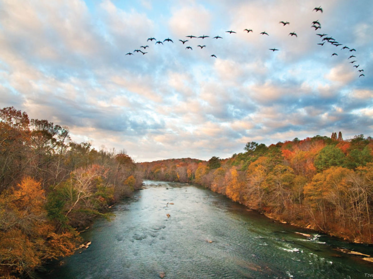 Three States One River Fighting For The Chattahoochee River