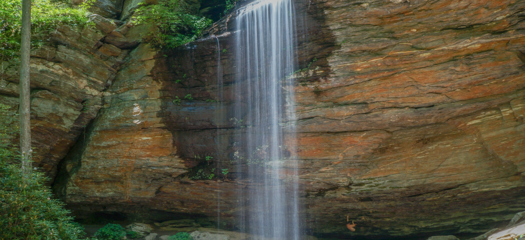 Man Dies After Fall from Moore Cove Falls in Pisgah National Forest ...