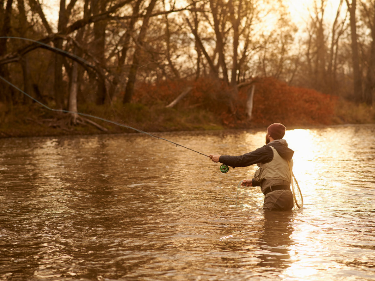 Fridays On The Fly A Weekend Fly Fishing In East Tennessee