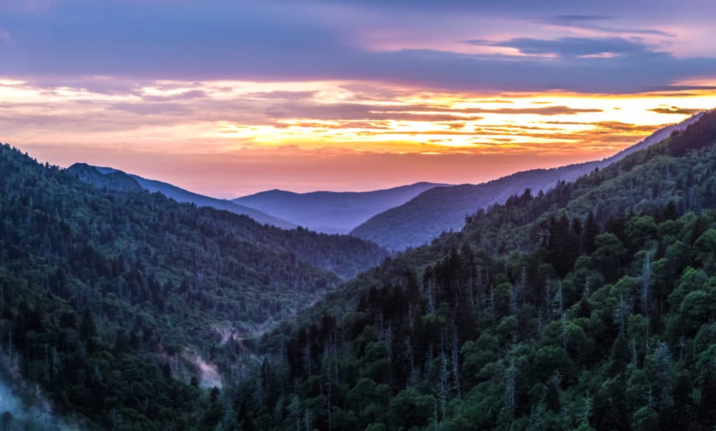 10 Must-Do Hikes in Great Smoky Mountains National Park - Go Outside ...