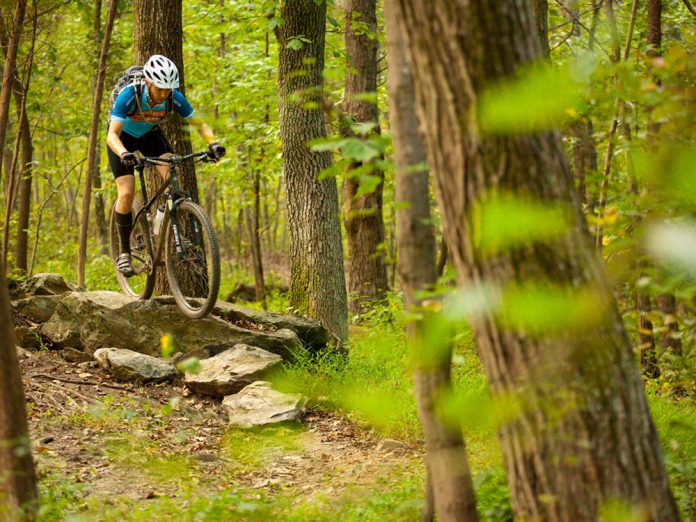 Hike, Bike, or Paddle Your Way Through Virginia State Parks - Sponsored ...