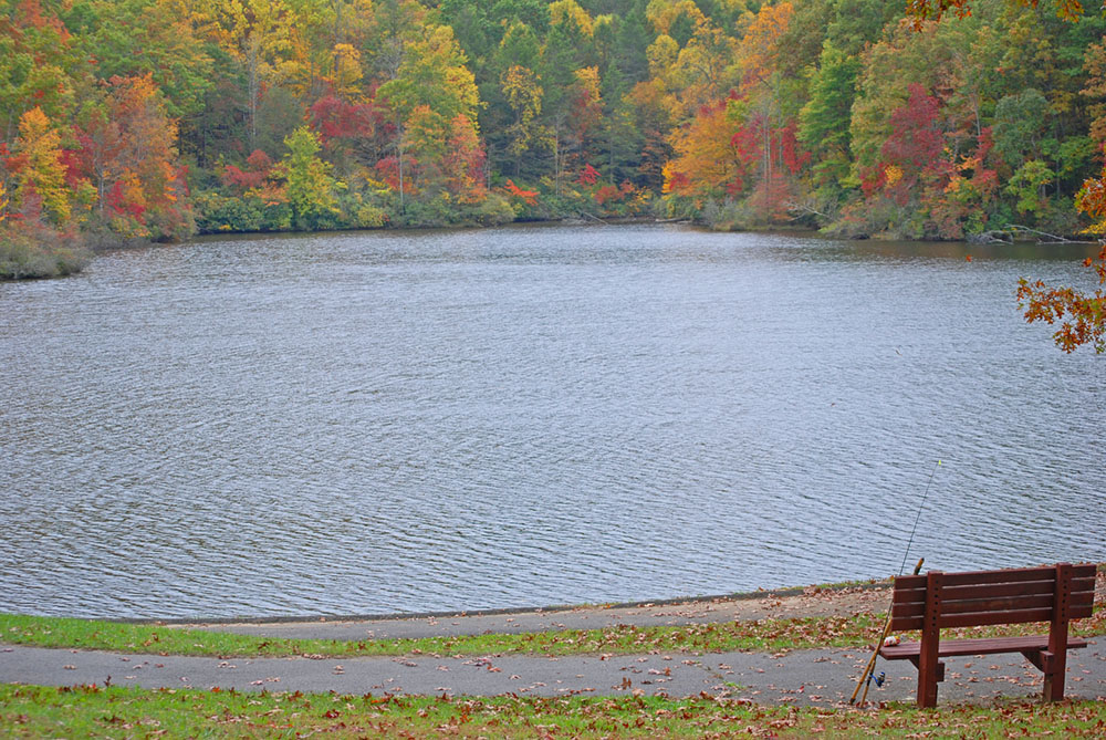 bark camp lake