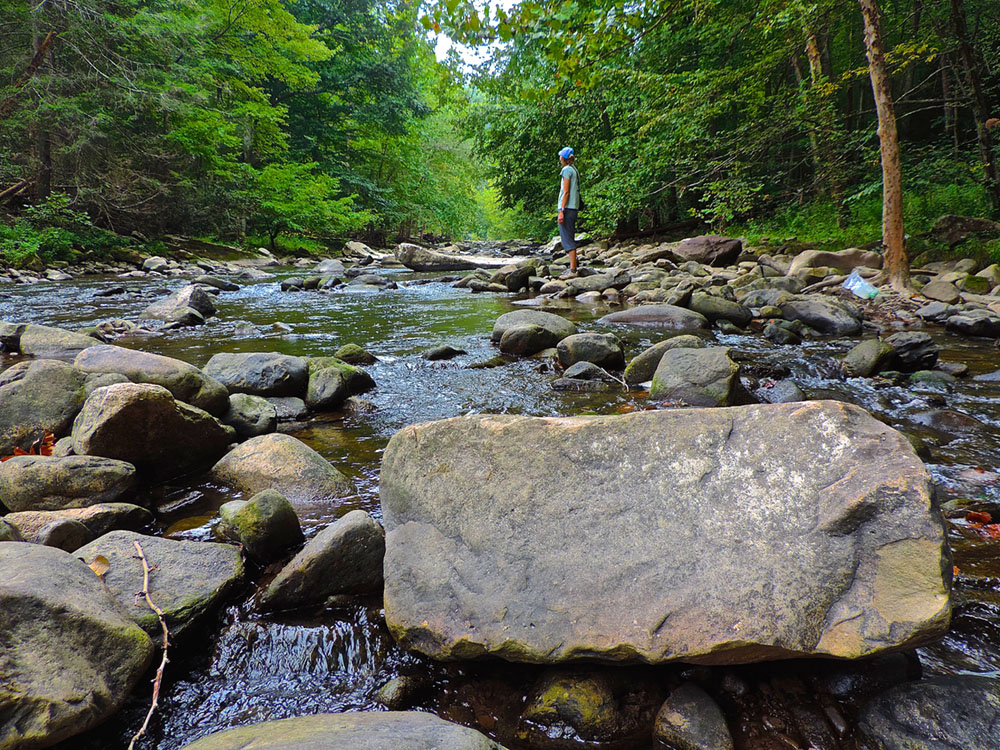 guest river gorge