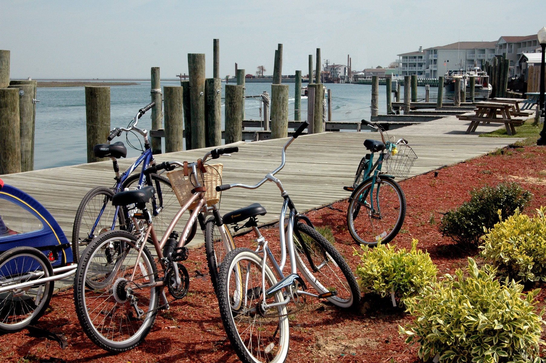 biking chincoteague