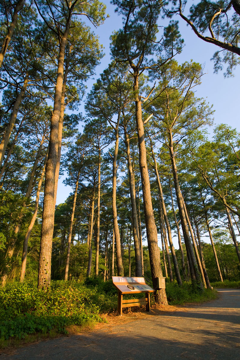 chincoteague trail