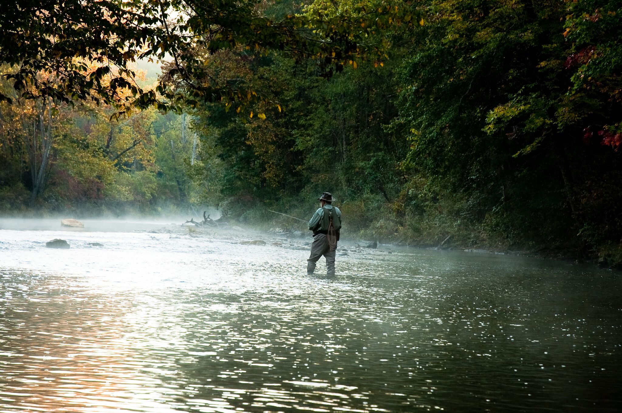 Escape Into The Outdoors In Lake Hartwell Country