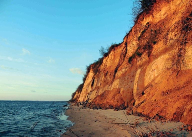 coastal hiking Calvert Cliffs State Park