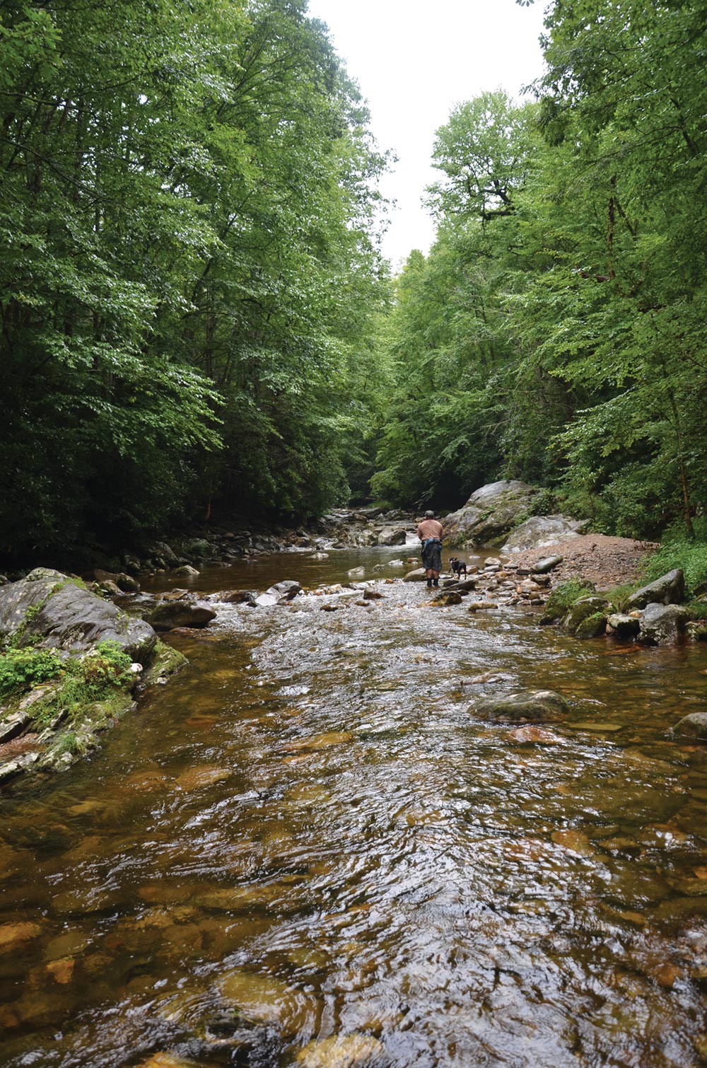 Fly Fishing the Appalachian Trail