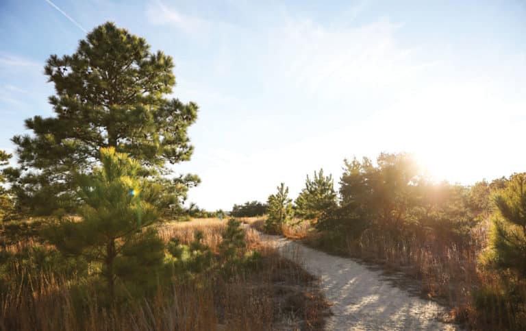 virginia beach trails