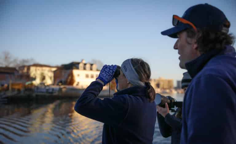 virginia beach wildlife viewing