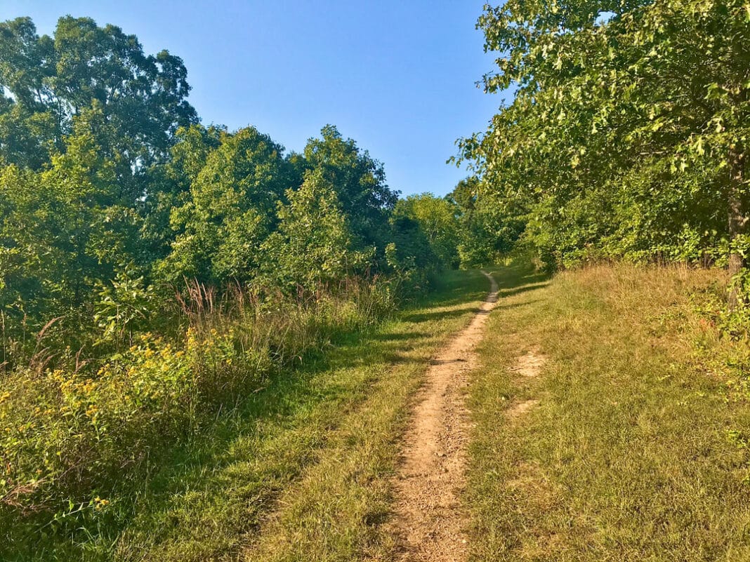 The Southeast’s Best State Parks for Trail Runners