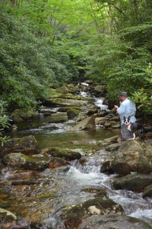 Fly Fishing Gear Guides And Outfitters Blue Ridge Outdoors Magazine