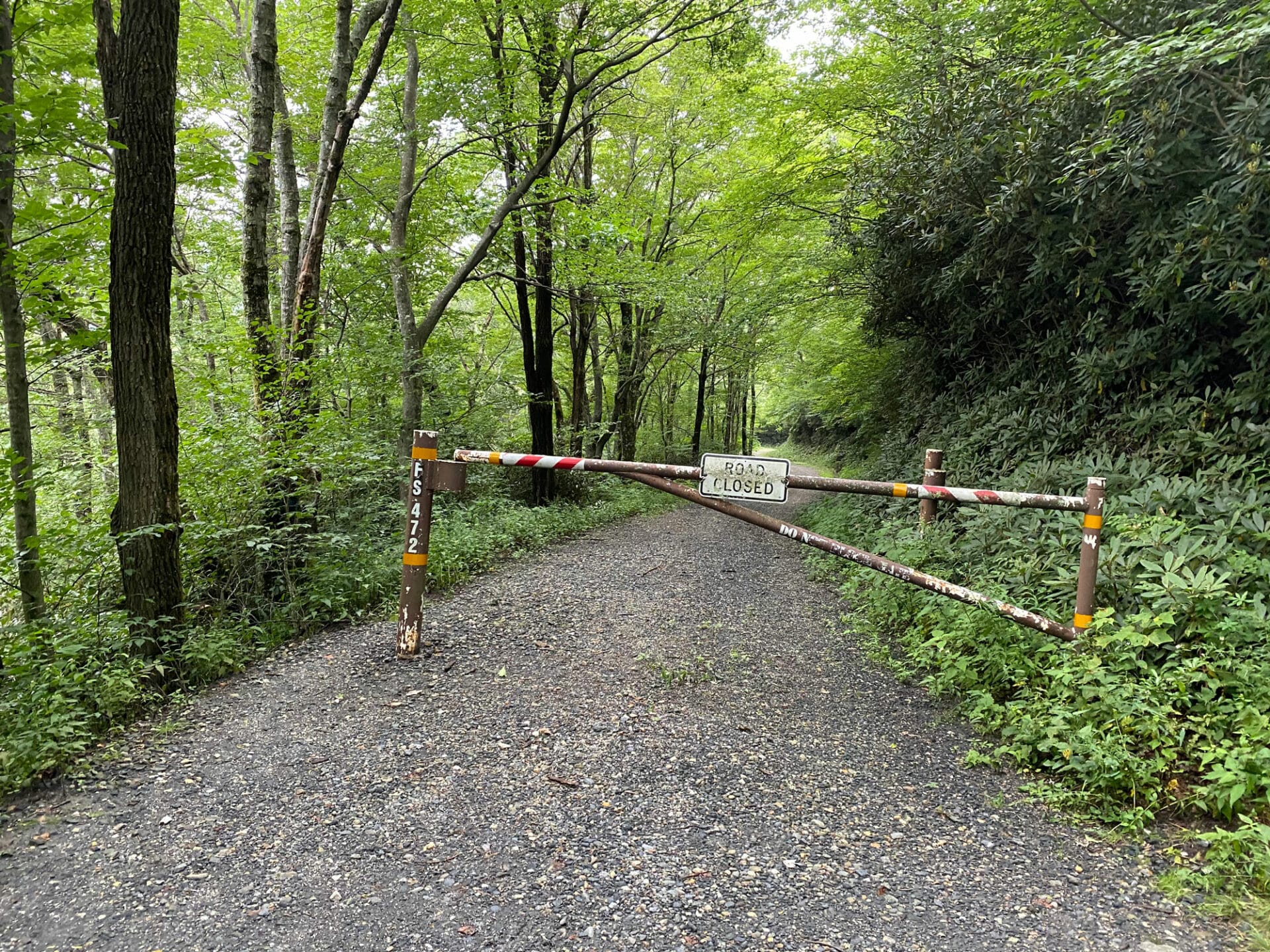 gravel biking