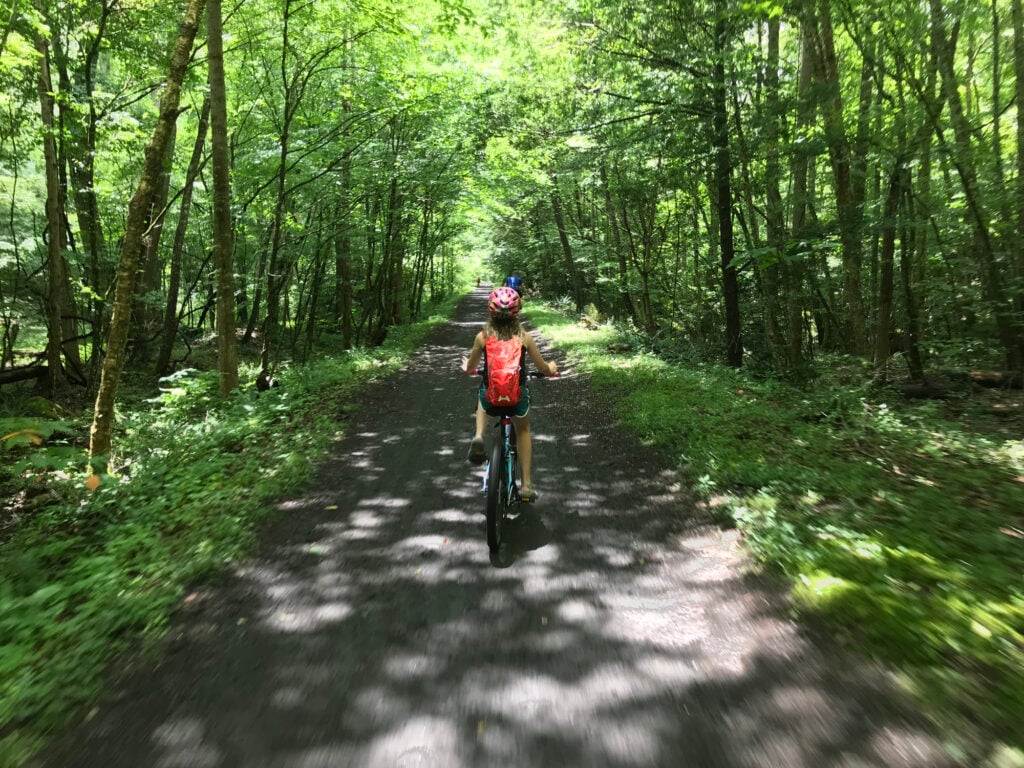 Out of doors Updates: E-Bikes on the Creeper Path, Purple Spruce Restoration in Pisgah, + A Week-Lengthy Paddling Journey in Georgia – Information